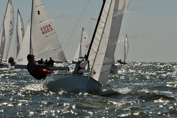 2012 Thistle Midwinters A 039