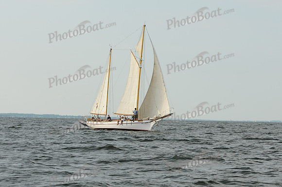 2011 Gov Cup A 1616