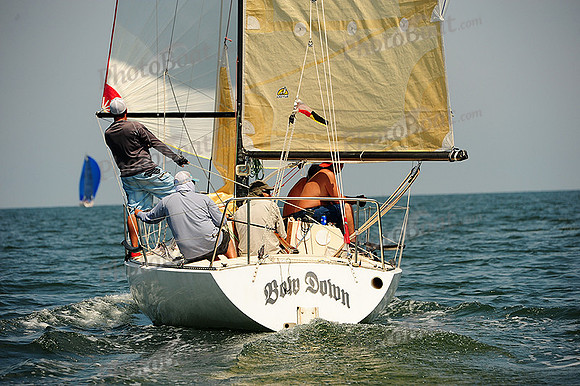 2014 Cape Charles Cup A 662