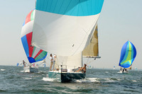 2012 Vineyard Race A 662