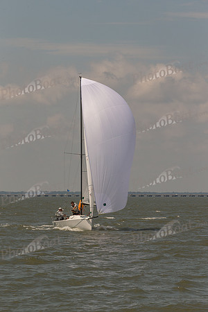 DBP_5838