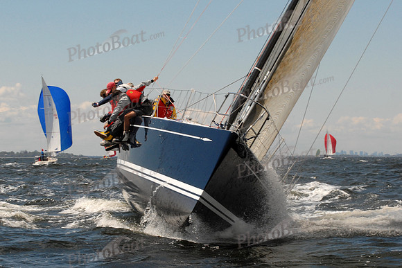 Swan Jump