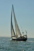2017 St Petersburg Habana Race_1136