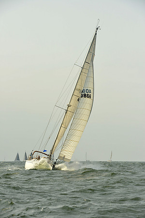 2015 Vineyard Race A 406