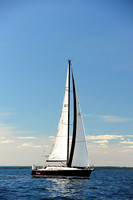2014 Vineyard Race A 1999
