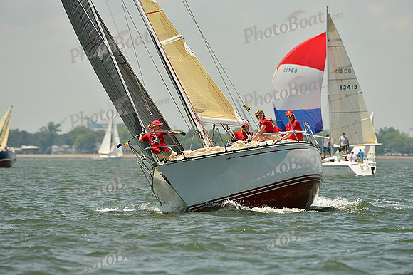 2015 Southern Bay Race Week A 458