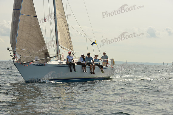 2015 Denmark Race A 501
