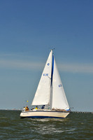 2014 Southern Bay Race Week D 446