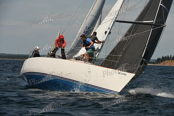 2016 Chester Race Week A_0241