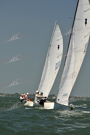 2012 Thistle Midwinters C 214