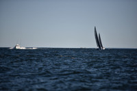 2021 Vineyard Race B 2421