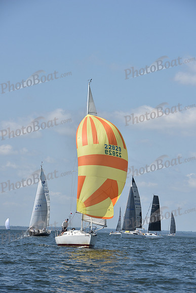 2020 Vineyard Race A_0073