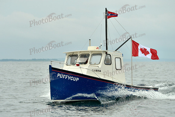 2016 Chester Race Week E_0226