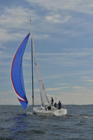 2016 Vineyard Race A_0558