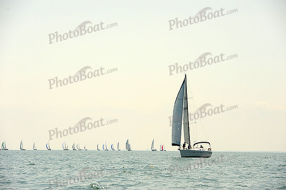 2014 Cape Charles Cup A 449