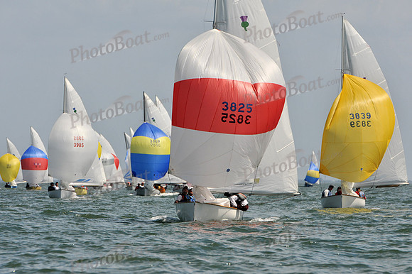2012 Thistle Midwinters B 1383