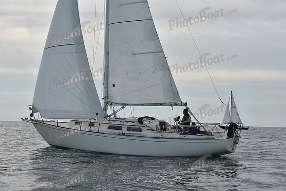 2019 Around Marthas Vineyard A_0170