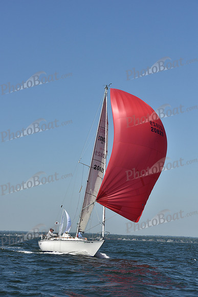 2019 Vineyard Race A_0297
