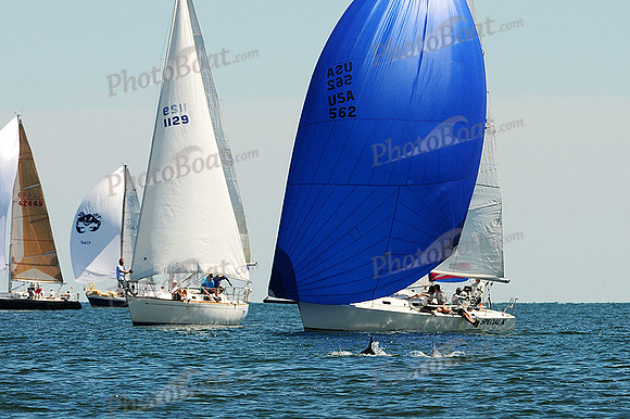 2015 Cape Charles Cup B 576