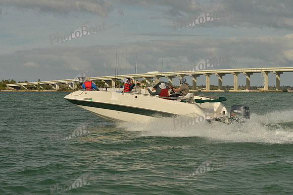 2019 Feb 10 Tampa Bay B_0671