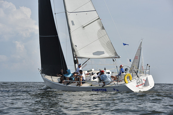 2019 Gov Cup A_1682