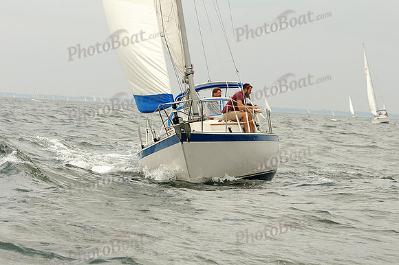 2012 Cape Charles Cup A 544