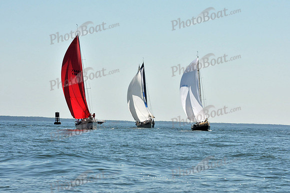 2010 Leukemia Cup B 181