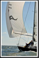 proof_2010_Vineyard_Race_1430