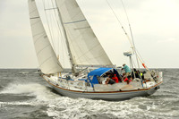 2015 Vineyard Race A 110