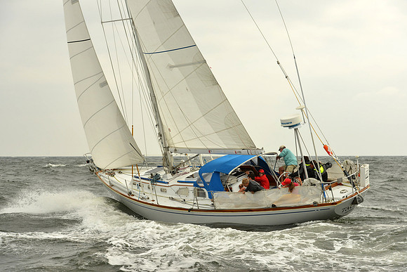 2015 Vineyard Race A 110