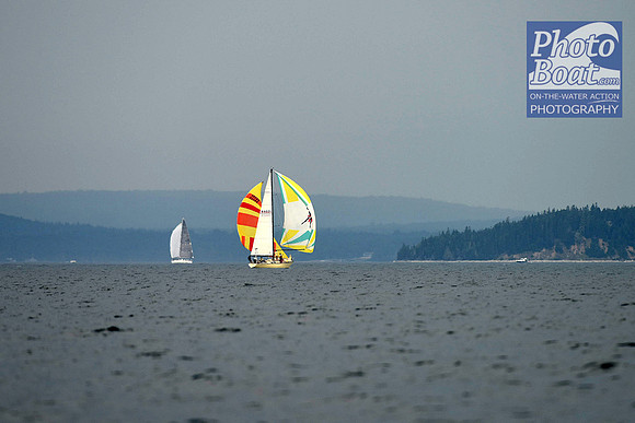 2016 Chester Race Week D 692
