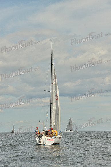 2016 Vineyard Race A_1437