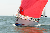 2012 Vineyard Race A 453