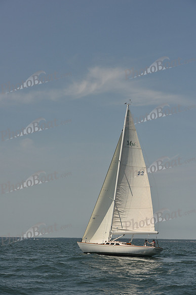 2018 Vineyard Cup A_0998