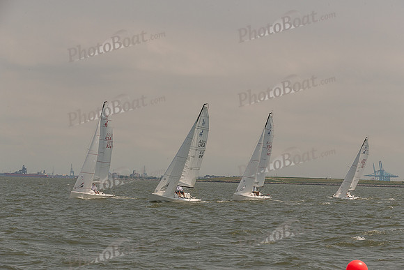 DBP_4956