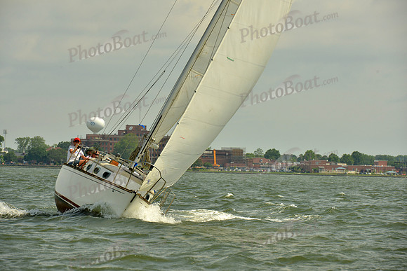 2016 Southern Bay Race Week G_0291