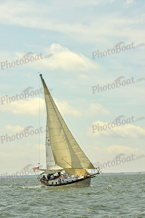 2016 Southern Bay Race Week G_0311