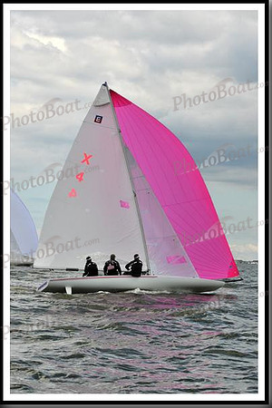 proof_2010_EScows_B 655