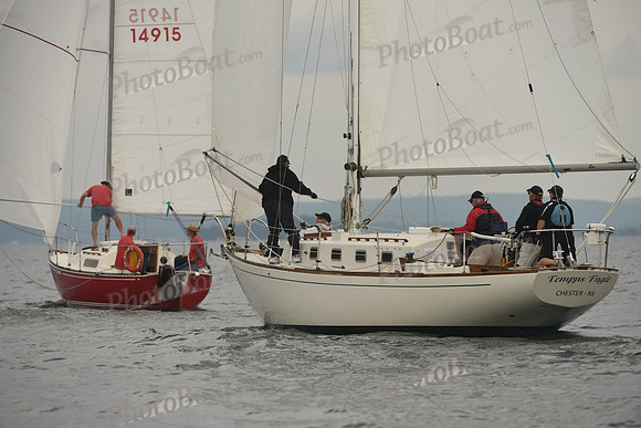 2016 Chester Race Week D_0643