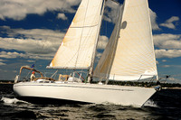 2014 Vineyard Race A 482