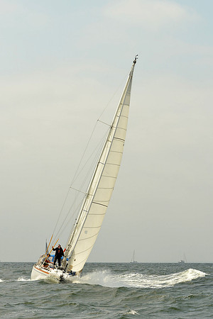 2015 Vineyard Race A 299