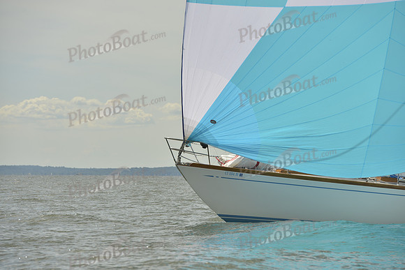 2016 Vineyard Race A_0994