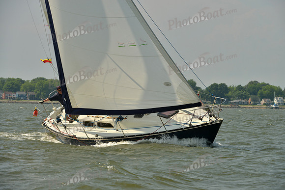 2016 Southern Bay Race Week B_0477