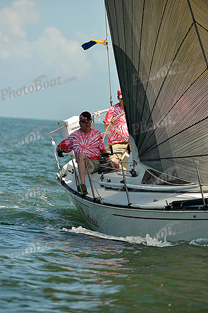 2015 Southern Bay Race Week C 534