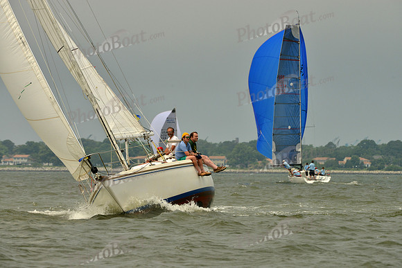 2016 Southern Bay Race Week A_0899