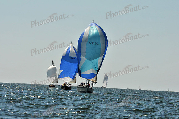 2010 Leukemia Cup B 705