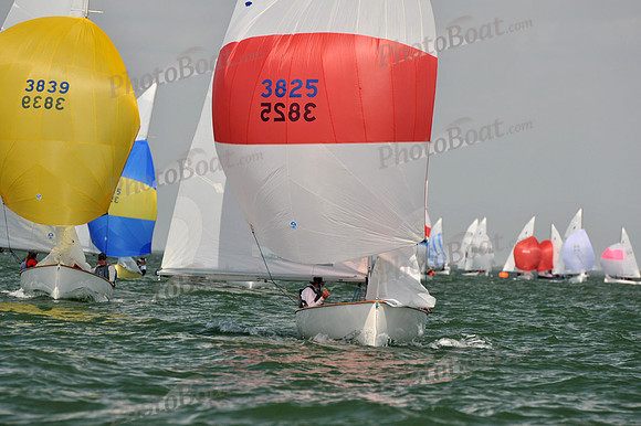 2012 Thistle Midwinters B 1433
