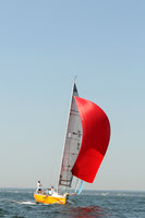 2012 Vineyard Race A 584