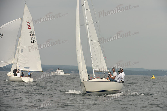 2016 Chester Race Week D_0392