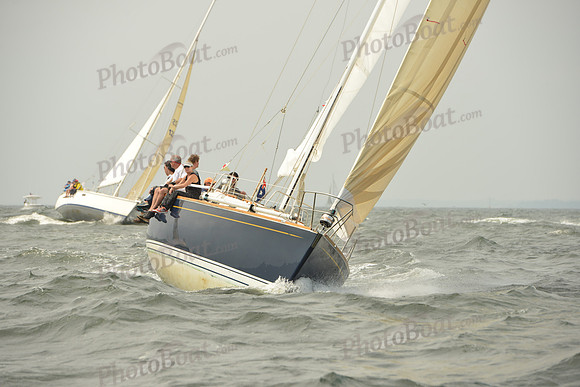 2015 Vineyard Race A 223